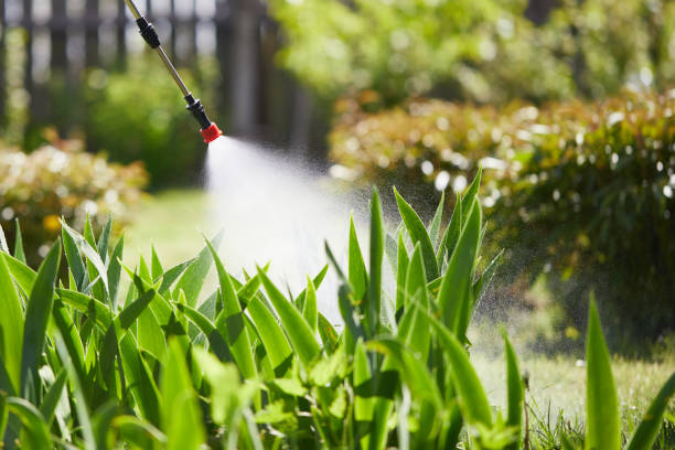 Tamper-Resistant Bait Stations for Rodents in Cathcart