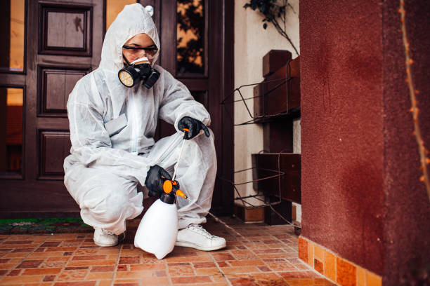Attic and Crawl Space Rodent Treatment in Cathcart
