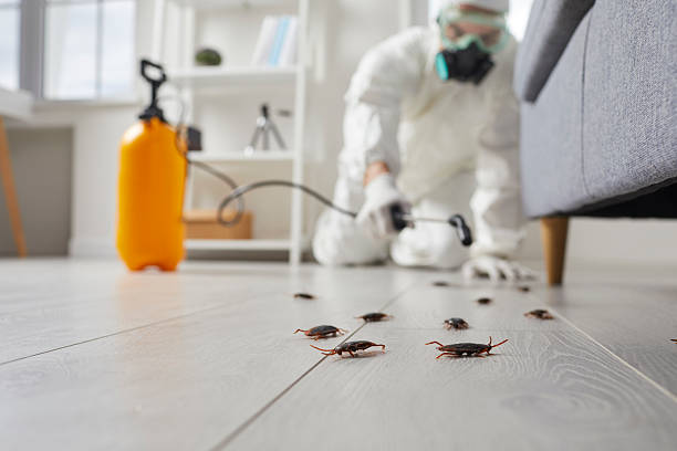 Commercial Rodent Management in Cathcart